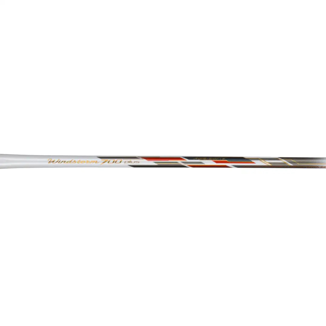 WINDSTROM 700 PLUS