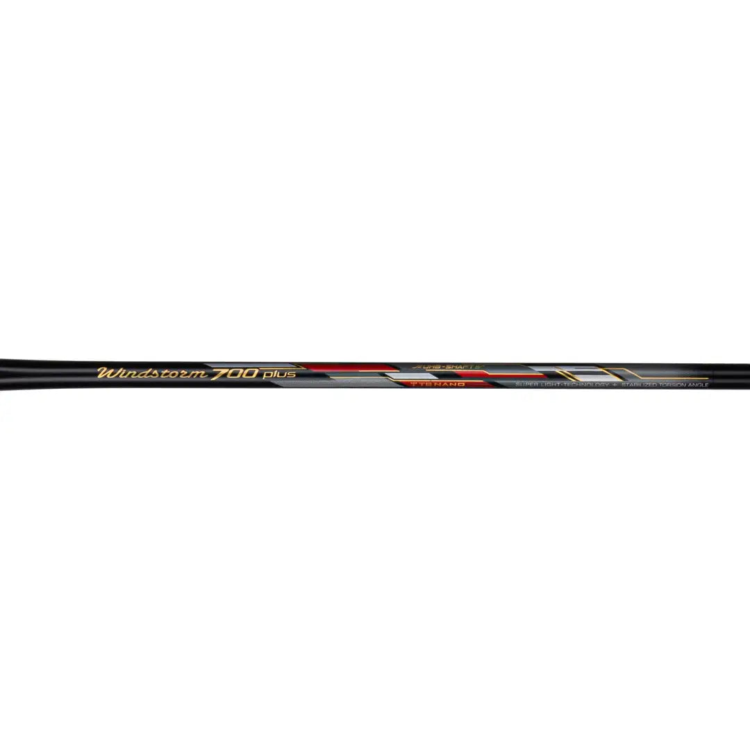 WINDSTROM 700 PLUS