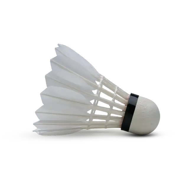 HUNDRED F5 (10 в 1) ПЕРЬЕВОЙ ВОЛАН