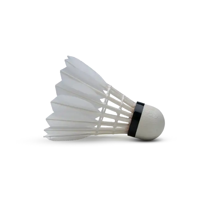 HUNDRED H+100 BWF ОДОБРЕННЫЙ ПЕРЬЕВОЙ ВОЛАН