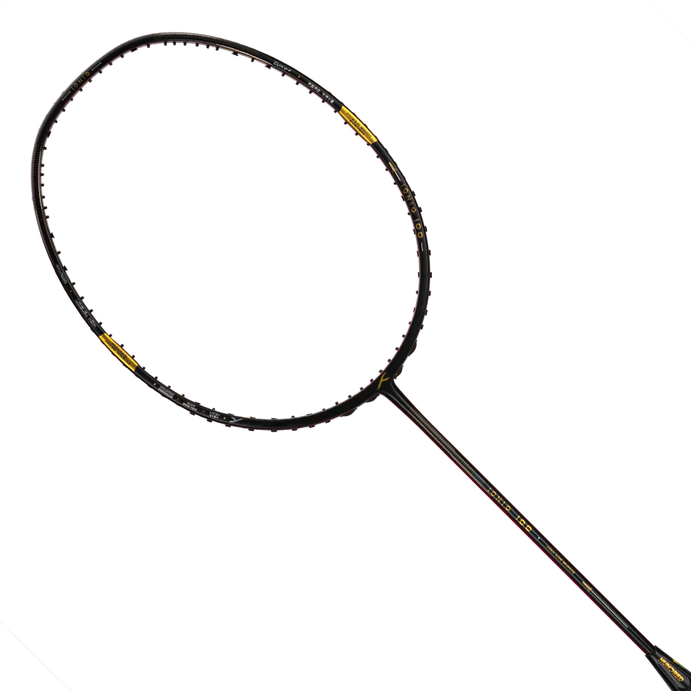 Ioniq 100 - 4U
