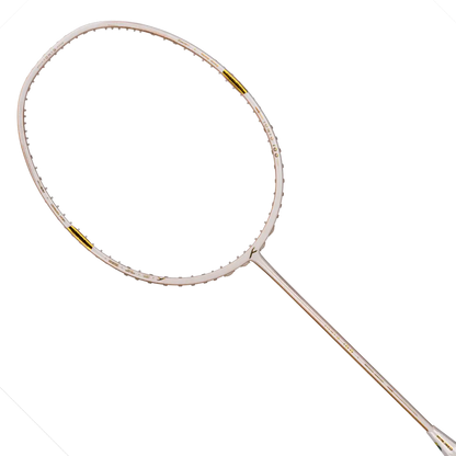 Ioniq 100 - 4U