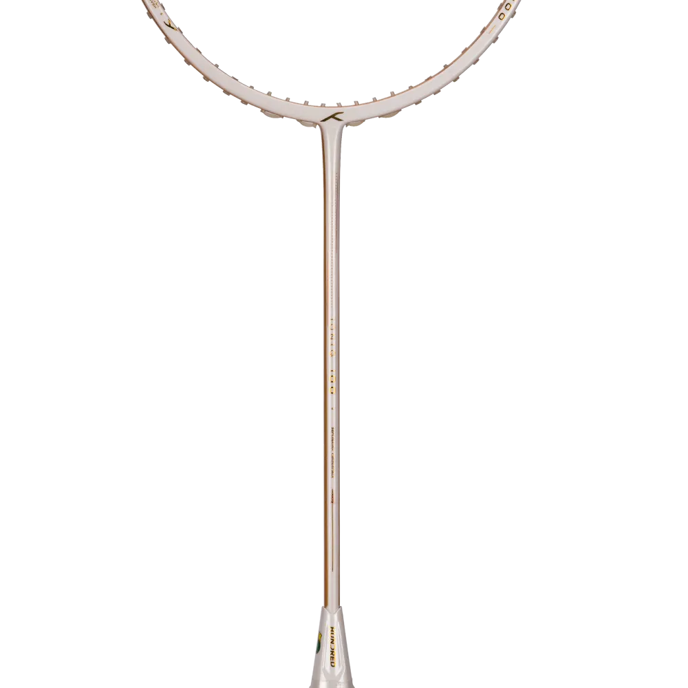 Ioniq 100 - 4U