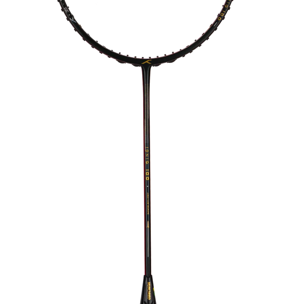 Ioniq 100 - 4U