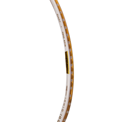 Ioniq 100 - 4U