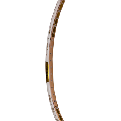 Ioniq 100 - 4U