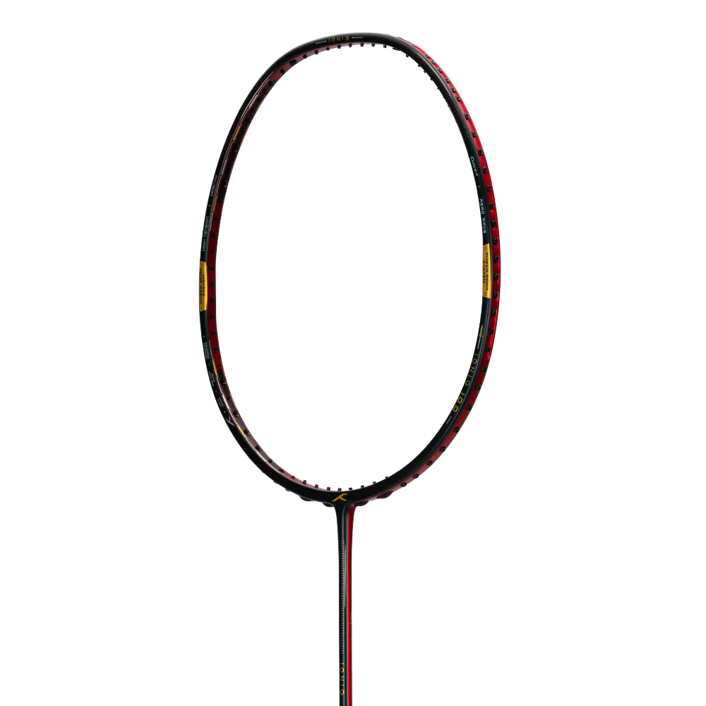 Ioniq 100 - 4U