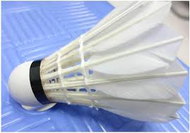 VICTOR MASTER ACE FEATHER SHUTTLE COCK