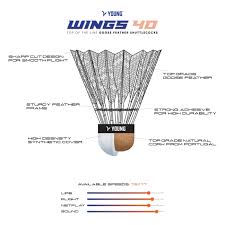YOUNG WINGS 40 FEATHER SHUTTLE COCK