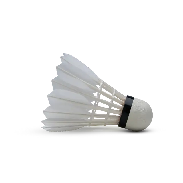 HUNDRED F80-BWF APPROVED FEATHER SHUTTLE COCK
