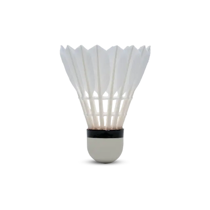 HUNDRED H+100 BWF APPORVED FEATHER SHUTTLE COCK