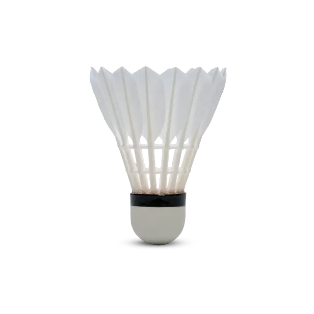 HUNDRED F1 (10 in 1 ) FEATHER SHUTTLE COCK