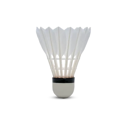 HUNDRED F1 (10 in 1 ) FEATHER SHUTTLE COCK